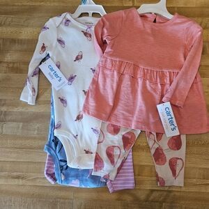 Carter's Baby Girl Outfit Sets